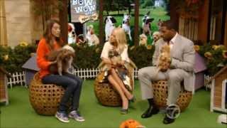 Kelly Ripa legs and heels  Live with Kelly and Michael 7 11 13