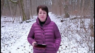 1595. Хлеб на каждый день. И приказал царь, сберегите мне отрока Авессалома.