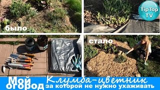 КАК СДЕЛАТЬ САМУЮ ЛЕГКУЮ В УХОДЕ КЛУМБУ ИЛИ ЦВЕТНИК// МУЛЬЧА ИЗ ЩЕПЫ// ИНСТРУМЕНТЫ