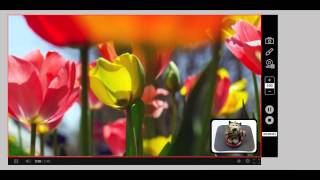 liteCam HD: PIP Show and Hide option while recording