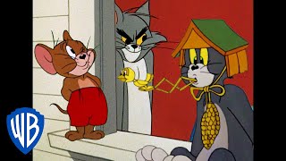 Tom y Jerry en Español ???????? | Los reyes de las travesuras