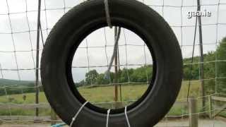 'Round The Square County Challenge: Michael Murphy Target Practice