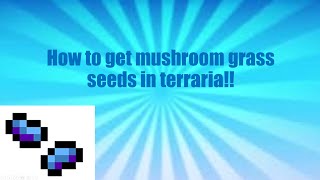 how to get mushroom grass seeds in terraria