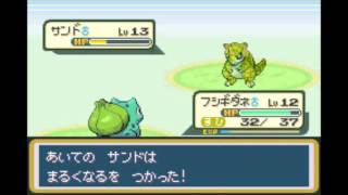 ポケットモンスターSPECIAL：第05章VS イワーク