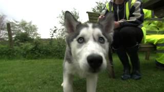 Petplan&ADCHAnimalCharityAwards2014 Gareth Dyer Animal Charity Volunteer of the Year
