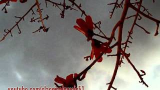 Самая красивая популярная классическая музыка Адажио