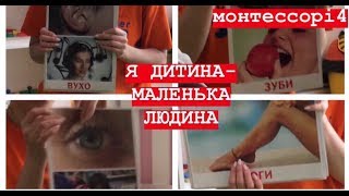 Монтессорі 4 Розвиваючі ігри для дитини від 2 років. Вухо Ніс Око Руки Ноги Голова Спина. Львів