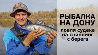 Рыбалка на Дону. Ловля судака на спиннинг с берега [FishMasta.ru]