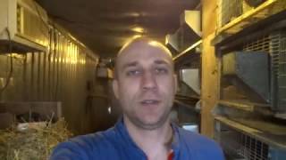 Проект Шиншилла "СТАРТ"