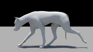 Dog walk (ambient occlusion)