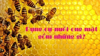 DỤNG CỤ NUÔI ONG MẬT GỒM NHỮNG GÌ?