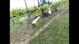 Diserbo Meccanico Mod. FD - Anno Domoni - Herbanet