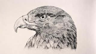Dotwork Рисую орла.