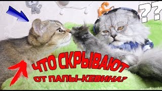 КОТЁНКА ОТДАЛИ ВТАЙНЕ ОТ КЕВИНА? | ЧУТЬ НЕ ПОССОРИЛИСЬ С БИЛЛИ БОЕМ