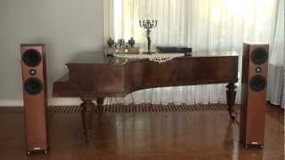 GOLDFINCH-MOD Grundig 8150 mk III, FELIKSAUDIO Arioso 300B 8W, ASW Genius 410