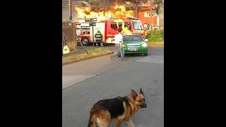 Tronando Conhetes con Perro Piromano