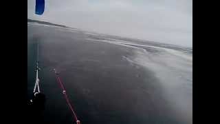 16.02.14 Собака - догонялка - киевлянка