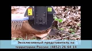 фреза для пней