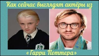 Как сейчас выглядят актёры из «Гарри Поттера»