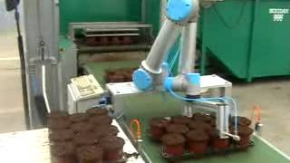 Universal Robot, Packing - ACTECH MALAYSIA