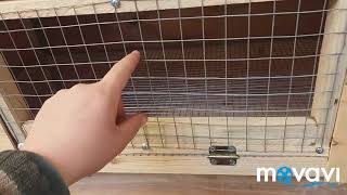 Брудер для циплят своими руками / самый  бюджетный вариант / brooder for chickens / chiapest option