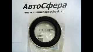 Сальник коленвала передний (Cummins ISF 3.8, ISBe) 4890832