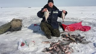 Рыбалка с эхолотом FISH FINDER