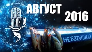 Рыбалка в Волгограде. На Воде. Август. Ловля щуки