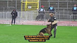 2017 SV BSZS in Ulm TSB part 108 V98 Ferro di Casa Ugolini