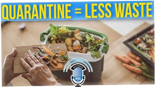 American Food Waste Has Been Significantly Reduced in 2020