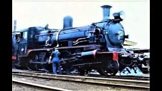 D3 639 & the Vintage Steam Train To Moriac April 1967