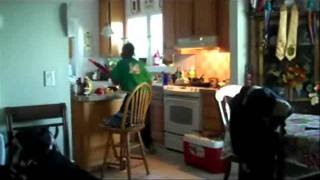 Nerf War - Idiots
