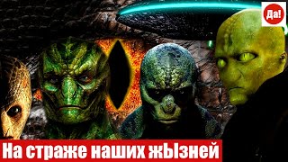 На страже наших жЫзней