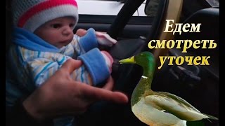 Гуляем с куклой Мирандой| Силиконовый реборн девочка|Reborn
