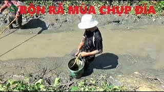 Tát ao (Chụp đìa ở miền tây) bắt cá đón xuân | Fishing | Sắc Màu VN