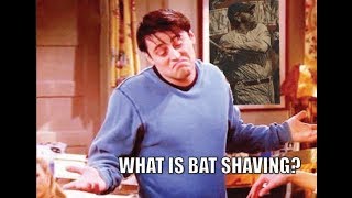What is Bat Shaving?