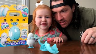 Little Live Pets SURPRISE - Hatch From Egg!!
