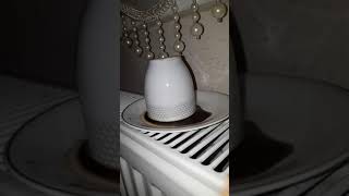 "P" harfi ile başlayan isimlerin Aralık ayı fal yorumları