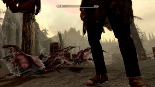 Skyrim - Astral Projection aka Broken Camera