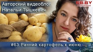Ранний картофель к июню