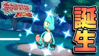 キモリ♀を120で出してしまい困惑してしまうポケモン初心者。【ORAS】?