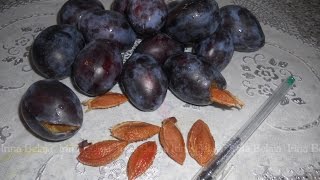 КАК БЫСТРО удалить косточку из сливы