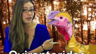 Interesting Dinosaur 3 Pterodactyl & Oviraptor Hot Facts