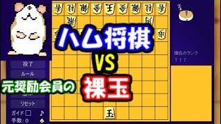 元奨励会員がハム将棋と裸玉で対戦してみた結果…