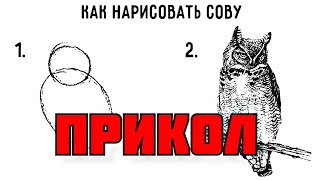 Как нарисовать сову мем Прикол