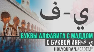 Буквы алфавита с маддом с буквой йяя (ف - ي) | Академия Корана™