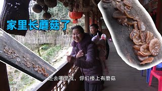 最近天天下雨，老妈说楼上都长蘑菇了，开始我还不信