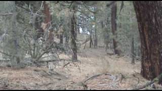 Mountain Enduro Snow Riding TTR 250 Frazier Park Gorman