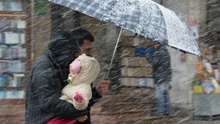 Дождь Град ГОЛАЯ ДЕВУШКА Тополиный пух , Серёжа Тортик