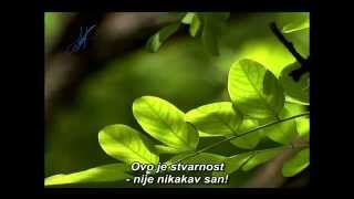 Maher Zain - DŽENNET (Paradise)